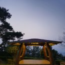 붓다의 향기 승보님들과 워크숍 ㅡ 장흥 천관사 이미지