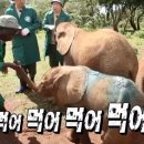 산카이 네이버블로그