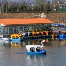 자연에 머물다 이미지