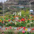 가천다랭이마을 | 남해 남면 가천다랭이마을 카페톨