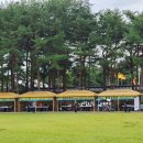 119 안전체험장 옆 이미지