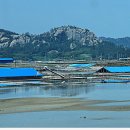 대동태양광발전소 이미지