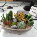 상록아트문구