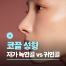 입체성형외과의원 | 강남 신사역 성형외과 코끝 성형 재료 비교: 자가 늑연골 vs 귀연골 장단점 완벽 가이드