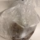 남당항 | 남당항맛집 온라인 주문 후기, 남당항푸른바다 신선한 새조개 솔직 후기