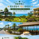 오픈패스 주식회사 네이버블로그