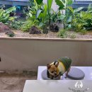 경산별관펜션 | 청도 애견동반 브런치 카페 티욤핑크 청도점