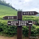 제 444회 특별 산행 전남 보성 오봉산(343.5m) (2024.8.31) 이미지