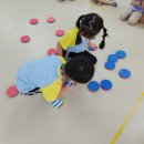 서일초병설유치원 이미지