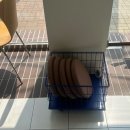 봉정로 | 천안 봉명동 카페, 깔끔하고 귀여운 감성 카페 봉정로커피