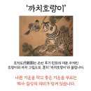 디자인도인
