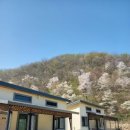 장태산 힐링타임 이미지