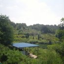 개정동사무소 이미지