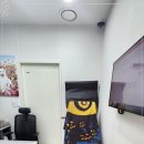 강원동물병원 이미지