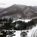 팔팔정육점 - 화성시 조암남로 5 | 팔팔정육점