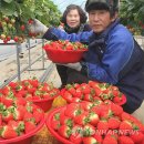 옥종산지유통센터 이미지