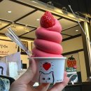 돌산 진모축구장 이미지