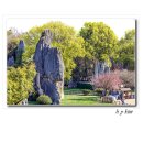 석림3로 이미지