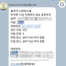 베트남 다낭 3박 5일 공항 픽업 호텔 숙소 정보 환전 팁 음식점 현지 맛집