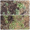 춘달농장 이미지