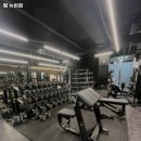 팀 뉴비짐 이미지