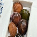 소소사