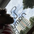 기흥나무동물병원 이미지