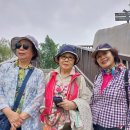 대만여행 3일 째 - 뿌리 깊은 역사와 타이완의 고도 타이난(12월1일) 이미지