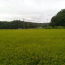 맑은물펜션 이미지