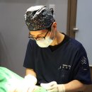 휴먼성형외과 네이버블로그