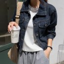 세미폭스 이미지