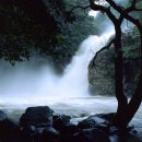 용추캠프 이미지