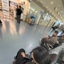 소신두길 | 중국동방항공 상하이 11시간 경유 여행 후기 속성 상하이 여행코스 끝내기+중국여행 필수어플