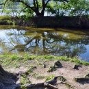 우포늪주차장 이미지