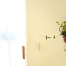 하루펜션 이미지