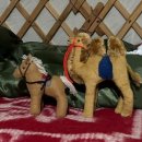 초원약국 이미지