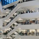 동국제약(메이올웨이즈) 이미지