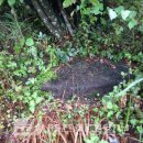 추정2리 이미지