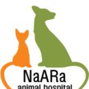 나아라 동물병원 이미지