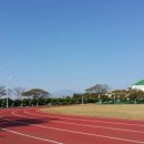 표선생활체육관(실내) 이미지