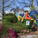 독불장군 이미지