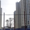 평촌어바인퍼스트호원어린이집 이미지