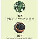 물에 섞어 바르는 비건 염색약 이미지
