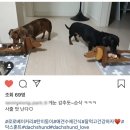 로로베 | 로로베 후기모음❤️
