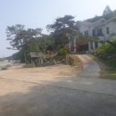 얼큰이짬뽕