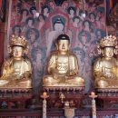 진주 청곡사 목조석가여래삼존좌상 이미지