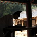 서원3 이미지