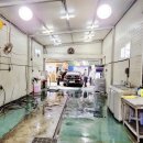 명품? 손세차장 이미지