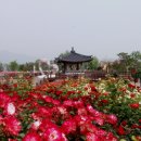 장미공원C 이미지