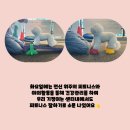 유 앤 독 이미지